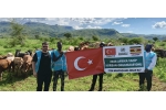 Kurban Organizasyonumuz