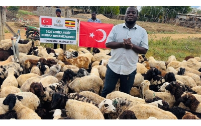 Kurban Çalışmaları 